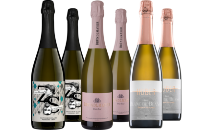 Entdeckerpaket Sekt Austria