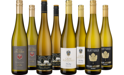 Entdeckerpaket Feine Rieslinge