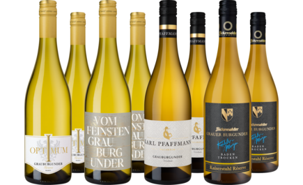 Probierpaket Grauburgunder Highlights