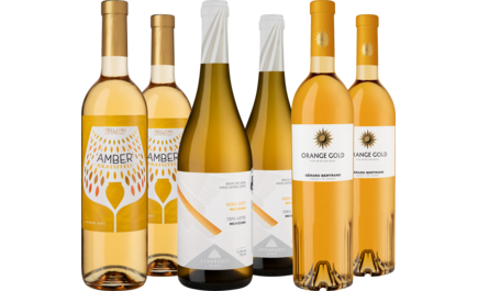 Entdeckerpaket Orange Wine around the World