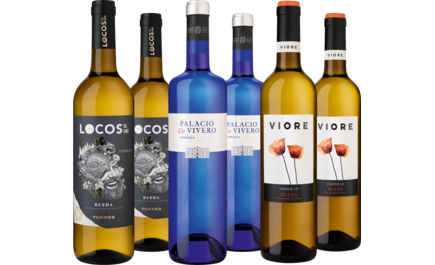 Probierpaket Verdejo aus der Rueda