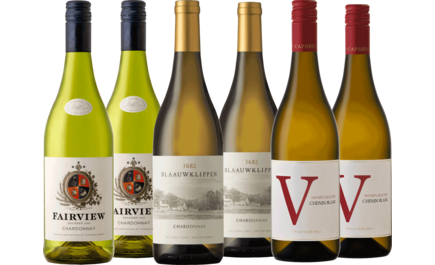 Südafrika Weißweinpaket - Weißwein Lieblinge
