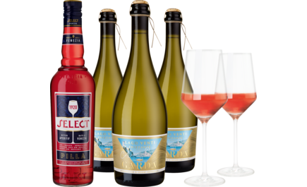 Aperitivopaket Lago Venti Garda Frizzant