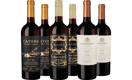 Probierpaket Hochwertige Malbec-Auswahl