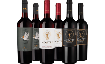 Probierpaket Rotwein-Highlights aus Chile