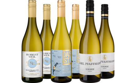 Probierpaket Deutsche Weißwein-Vielfalt