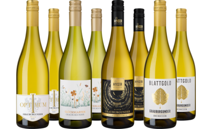 Entdeckerpaket Grauburgunder-Highlights