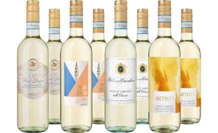 Entdeckerpaket Pinot Grigio Auswahl