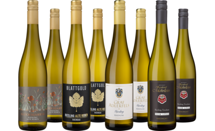 Probierpaket Riesling-Vielfalt