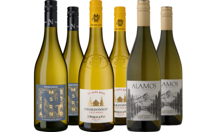 Entdeckerpaket Chardonnays aus aller Welt