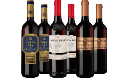 Probierpaket Rotweine aus der Rioja