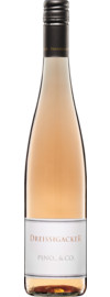 2016 Dreissigacker Pino_ & Co. Rosé