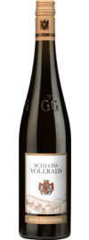 2019 Schlossberg Riesling GG