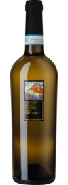 2020 Feudi di San Gregorio Vesuvio Bianco