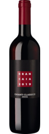 2019 Brancaia Chianti Classico