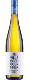 2019 Letten Sauvignon Blanc