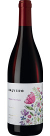 2020 Dalvero Nero d'Avola