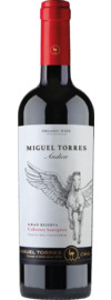 2019 Andica Cabernet Sauvignon Gran Reserva