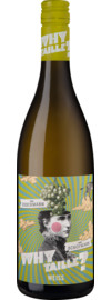 Why Taille Weiss Naturwein Unfiltriert
