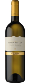 2022 Elena Walch Pinot Bianco