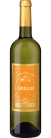 2022 Il Montelino Grillo