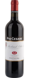 2021 Pio Cesare Barbera d'Alba