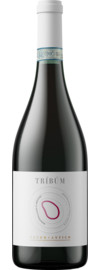 2022 Feudo Antico Tríbúm Montepulciano Biologico