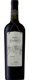 2021 Jorge Rubio Finca Gabriel Syrah Roble