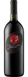 2022 Sapore del Dottore Merlot