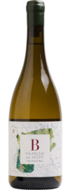 2022 Raats B Vintners Haarlem to Hope