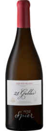 2017 Spier 21 Gables Chenin Blanc