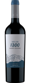 2021 Andeluna Cellars Cabernet Sauvignon 1300