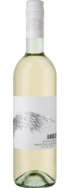 2023 Angelo Pinot Grigio