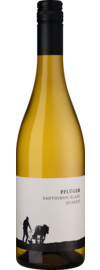 2023 Pflüger Sauvignon Blanc vom Quarzit