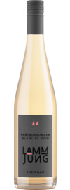 2023 Lamm Jung Meister Spätburgunder Blanc de Noir QbA