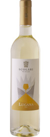 2023 Cantine Scolari Lugana Visual