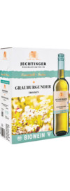 2023 Jechtinger Grauburgunder Bio