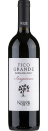 2023 Poderi dal Nespoli Fico Grande Sangiovese