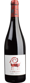 2021 Vegalfaro Caprasia Roble Bobal Merlot Bio