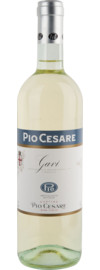 2023 Pio Cesare Gavi