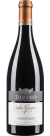 2019 Divino Frühburgunder GG
