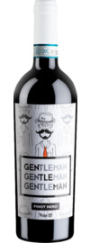 2021 Ferro13 Gentleman Pinot Nero