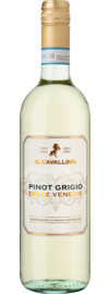 2024 Il Cavallino Pinot Grigio