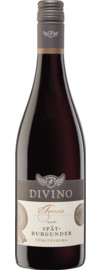 2021 Terroir Escherndorfer Fürstenberg Spätburgunder