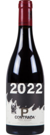 2022 Contrada P