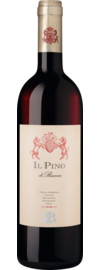 2022 Il Pino di Biserno
