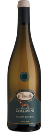 2023 Collavini Villa Canlungo Pinot Grigio
