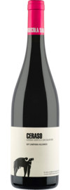 2022 San Salvatore Ceraso Aglianico