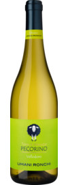 2024 Vellodoro Pecorino 2024 Vellodoro Pecorino