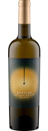 2022 Rondeur Appassimento Blanc